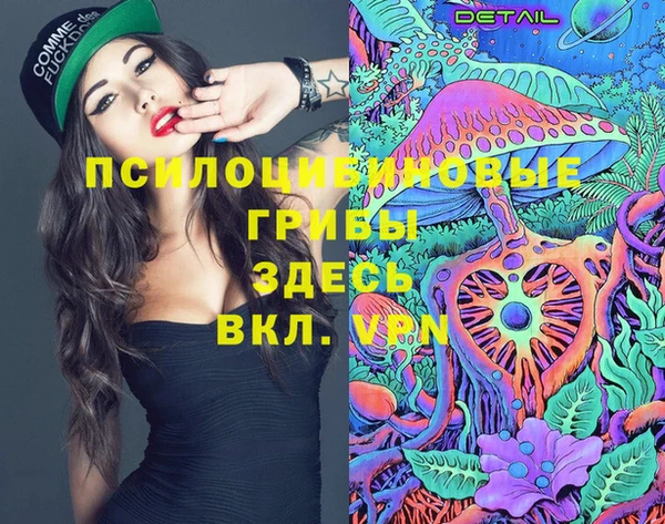 винт Аркадак